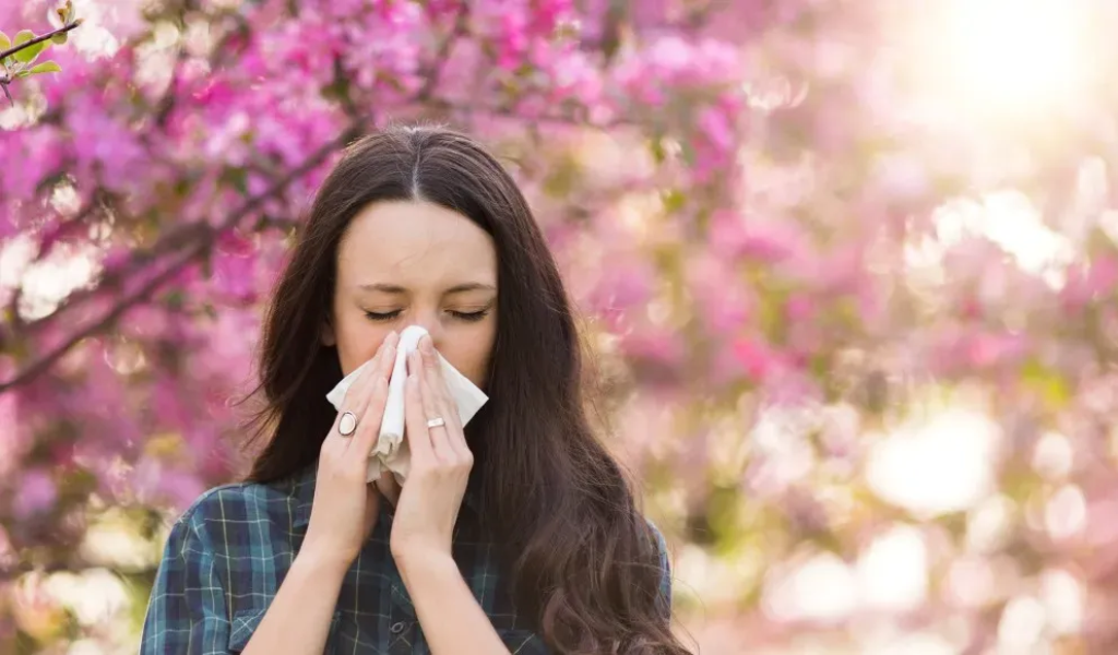 Saisonale Allergien, auch Heuschnupfen oder allergische Rhinitis genannt, betreffen im Frühling und Sommer einen Grossteil der Bevölkerung.